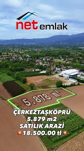 net emlak logo